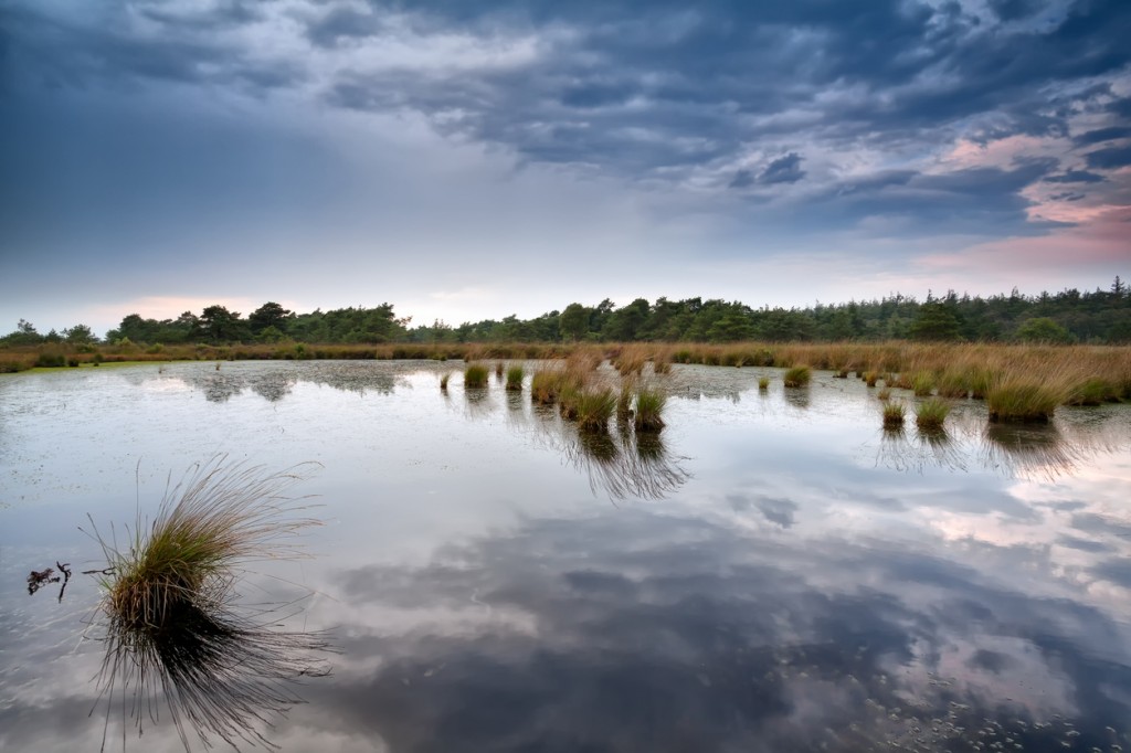 Natuurgebied Diependal Drenthe
